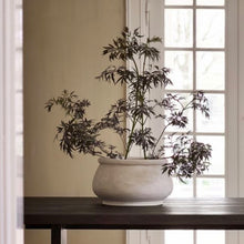 Afbeelding in Gallery-weergave laden, Coco pot
