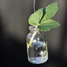 Afbeelding in Gallery-weergave laden, Hangfles - vaas