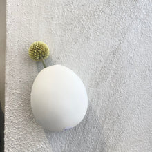 Afbeelding in Gallery-weergave laden, Muur vaasje