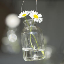 Afbeelding in Gallery-weergave laden, Hangfles - vaas
